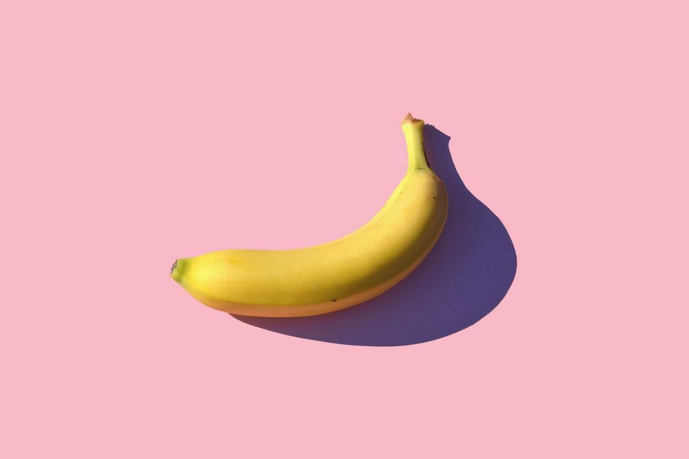 Web Design Visual